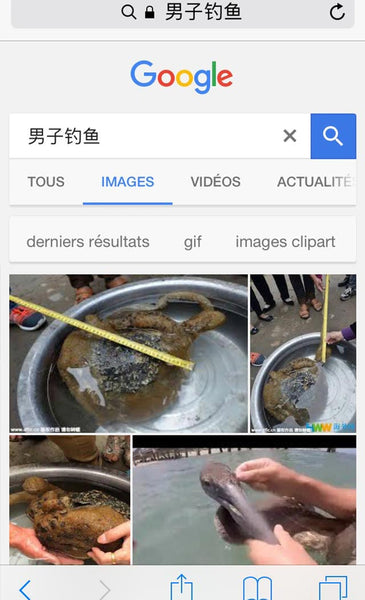 résultats chinois traditionnel "homme qui pêche"