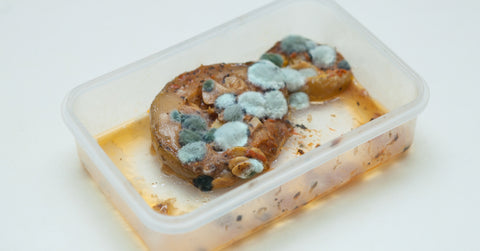 can mold cause food poisoning? 