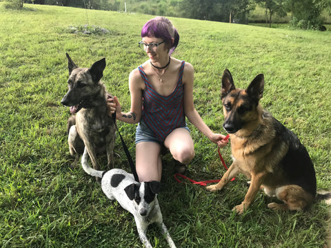 Emily VanderMey, pet portrait artist with her 3 dogs Banzai, Clovis, and Rex