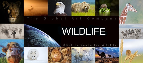 Wildlife Art and Photography - The Global Art Company