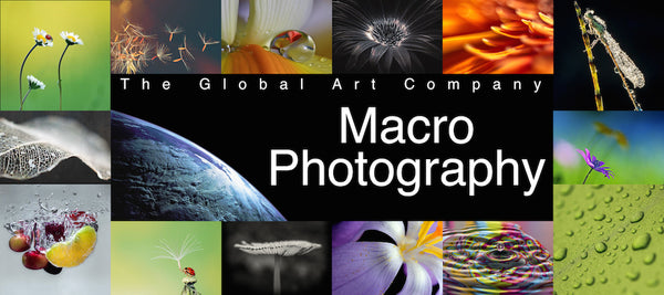 The Macro Photography collection - The Global Art Company