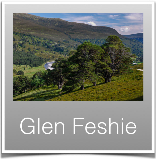 Glen Feshie
