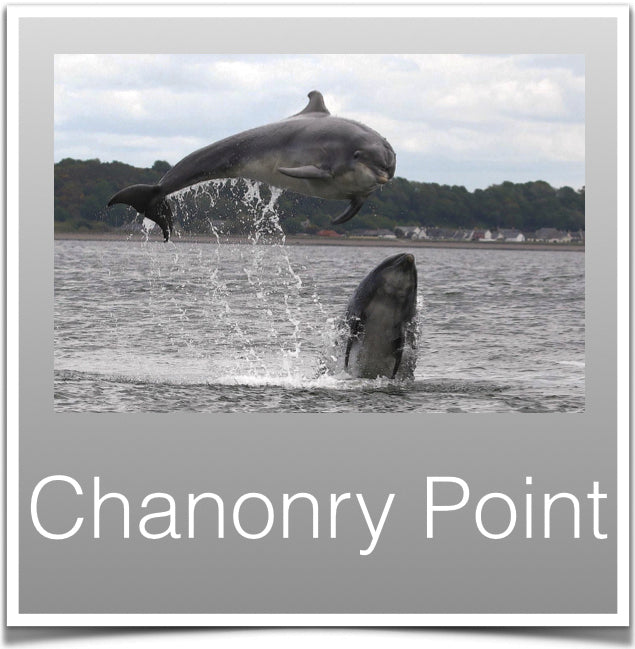 Chanonry Point