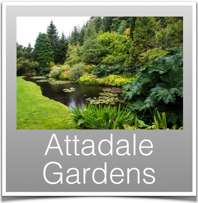 Attadale Gardens