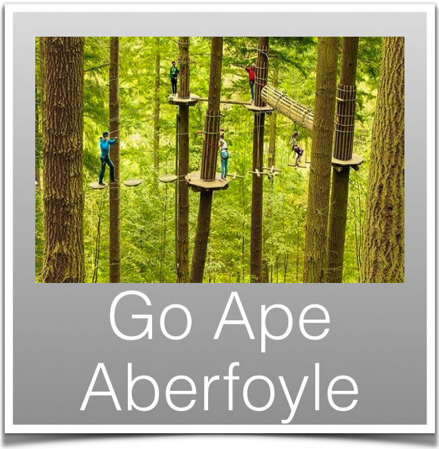Go Ape Aberfoyle