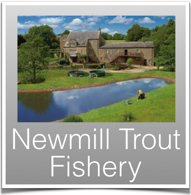 Newmill Trout