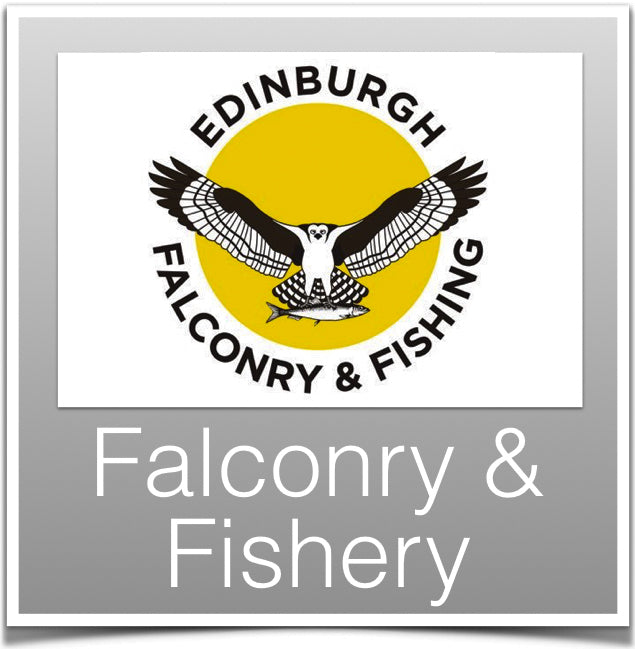 Falconry