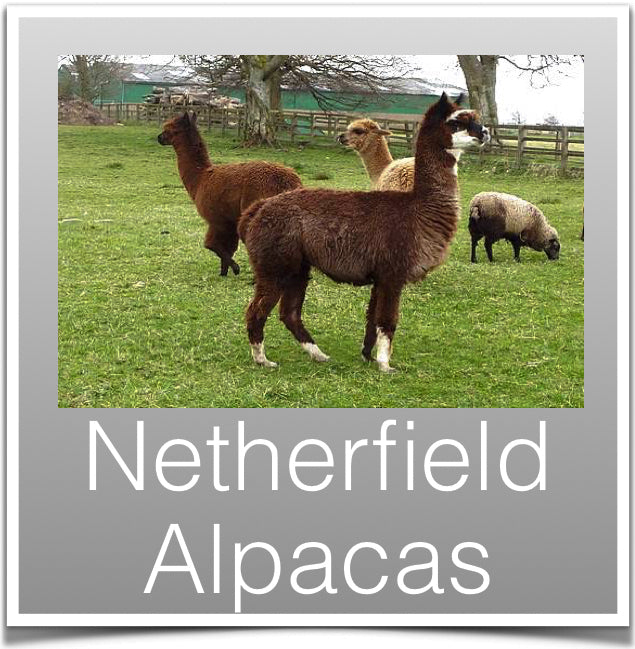 Netherfield Alpacas