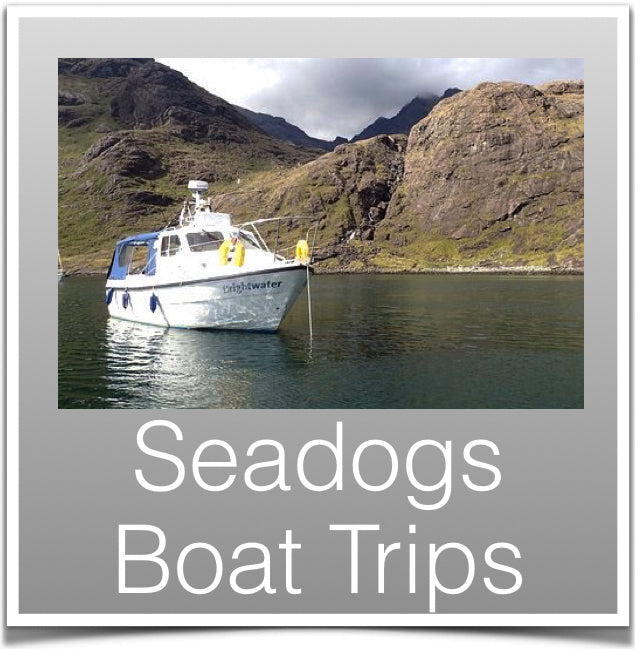 Seadogs Boat Trip