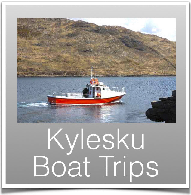 Kylesku Boat Trips