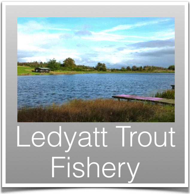 Ledyatt Trout Fishery