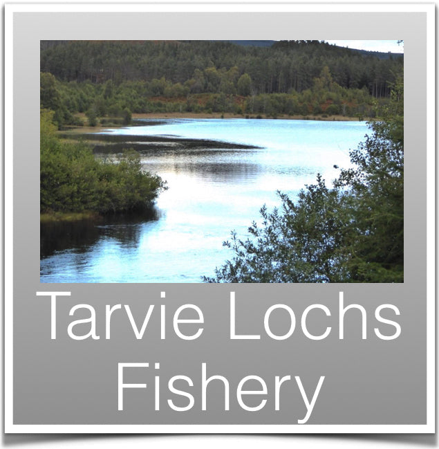 Tarvie Lochs