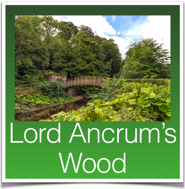 Lord Ancrum's Wood