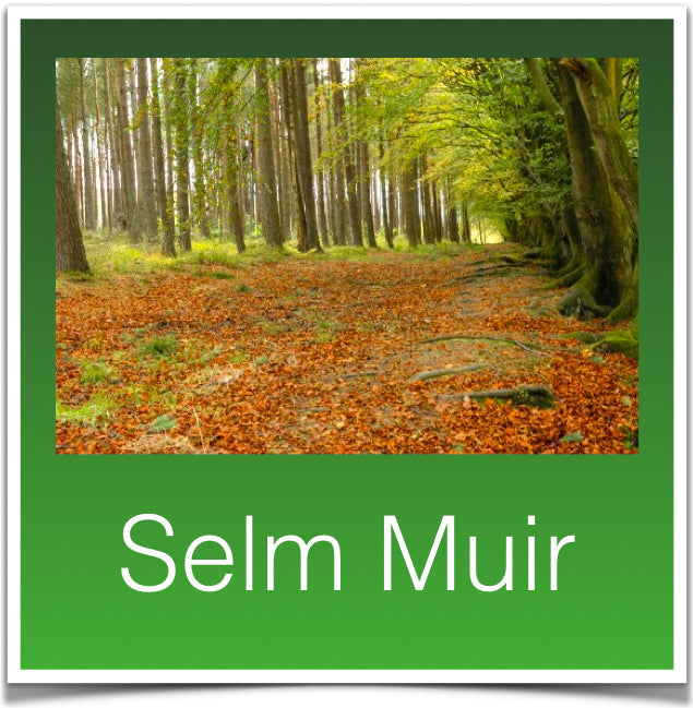 Selm Muir