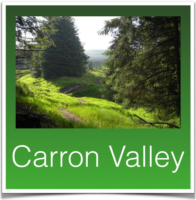 Carron Valley