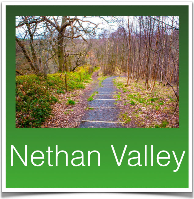 Nethan Valley