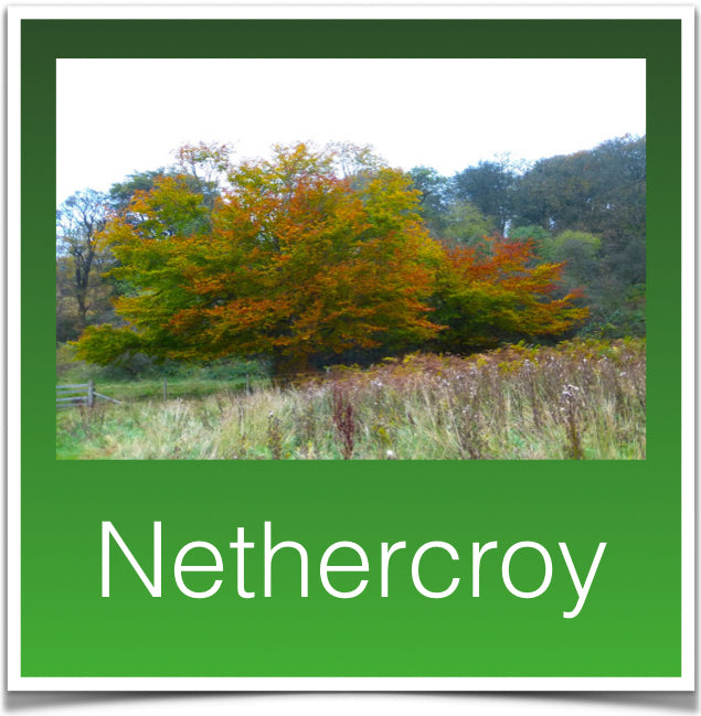 Nethercroy