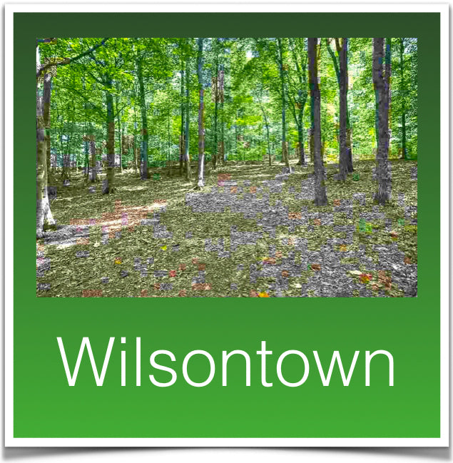 Wilsontown