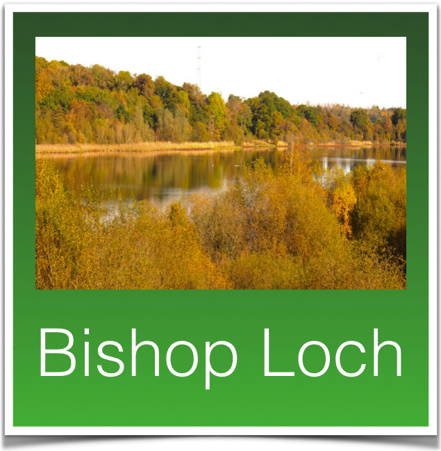 Bishop Loch