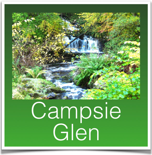 Campsie Glen