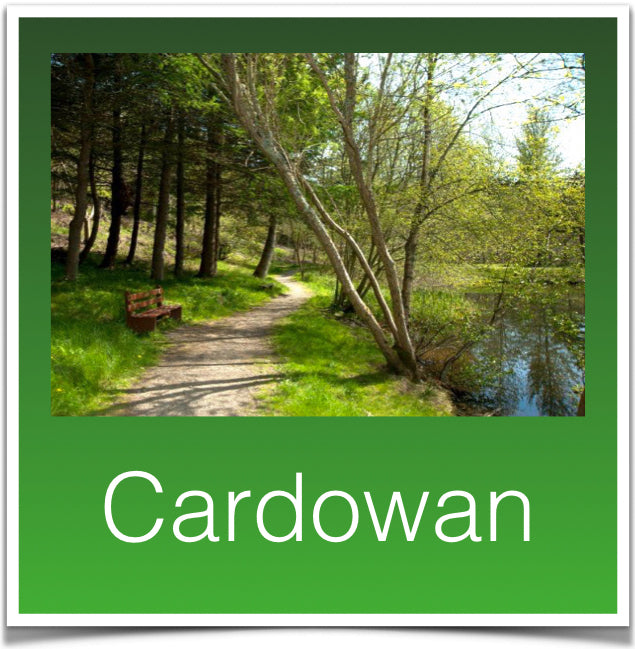 Cardowan
