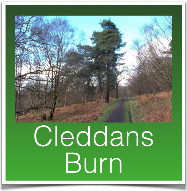 Cleddans Burn