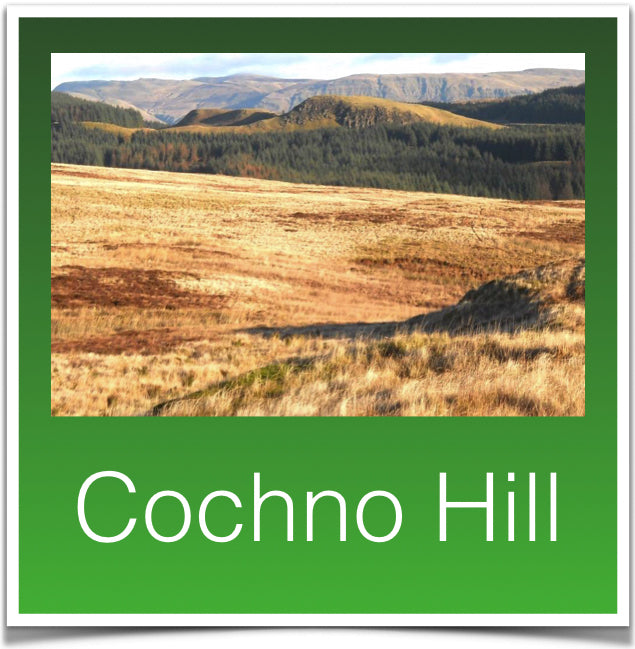 Cochno Hill