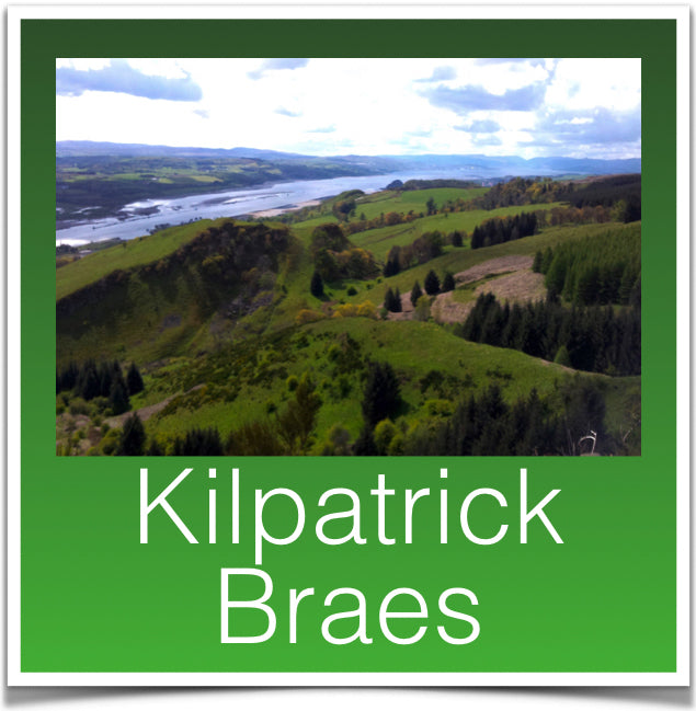 Kilpatrick Braes