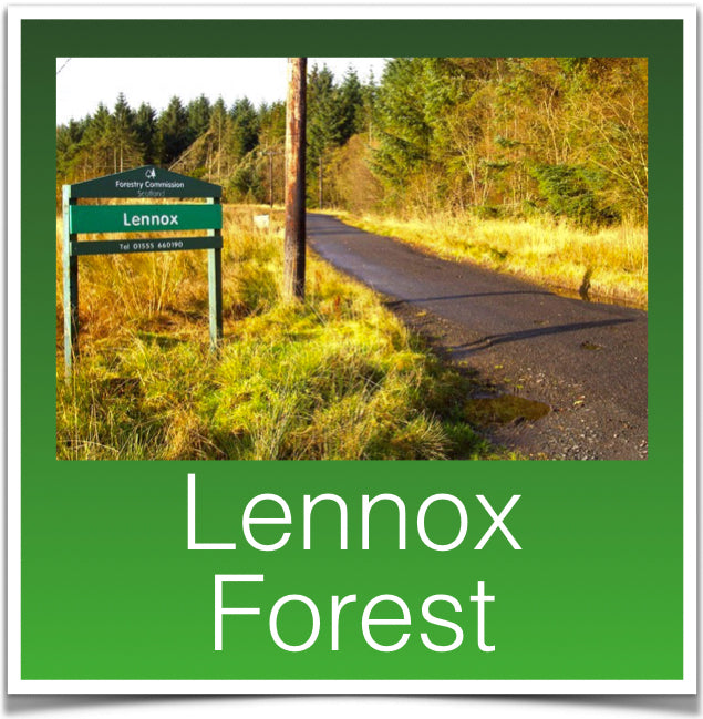 Lennox Forest