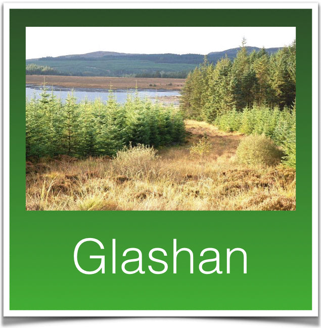 Glashan