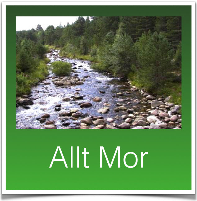 Allt Mor