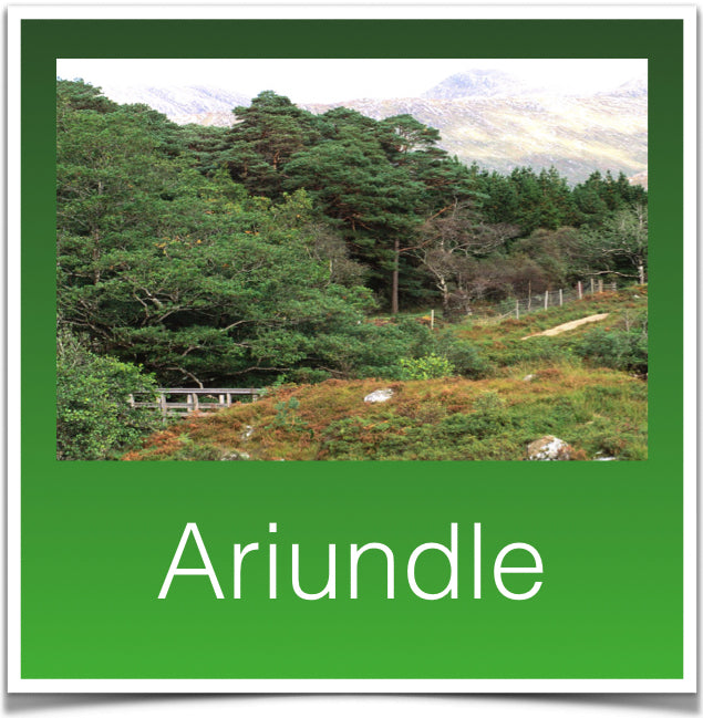 Ariundle