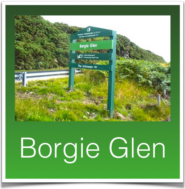 Borgie Glen