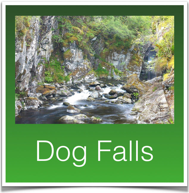 Dog Falls