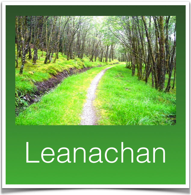 Leanachan