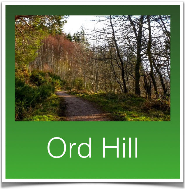 Ord Hill