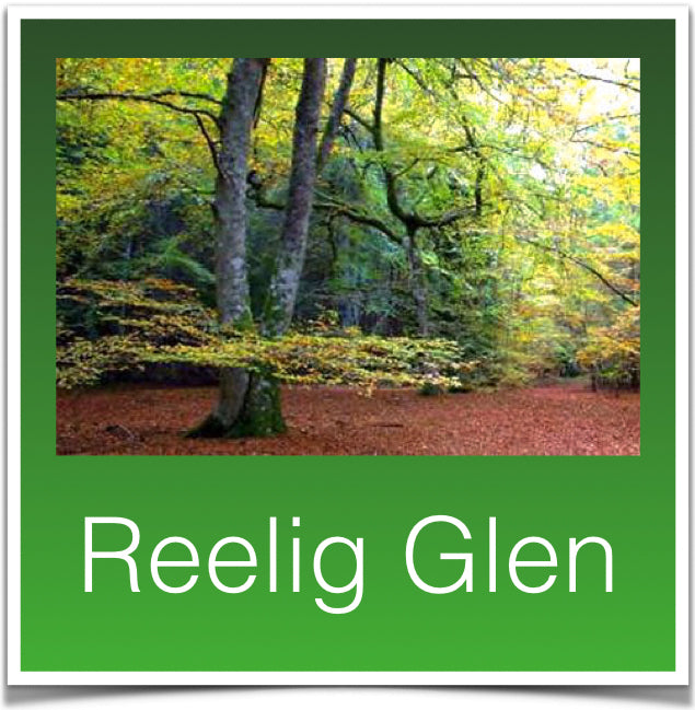 Reelig Glen