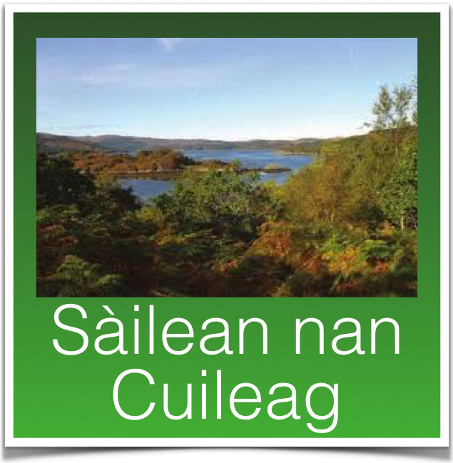 Sailean nan Cuileag