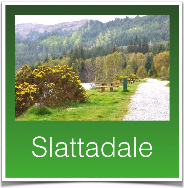 Slattadale