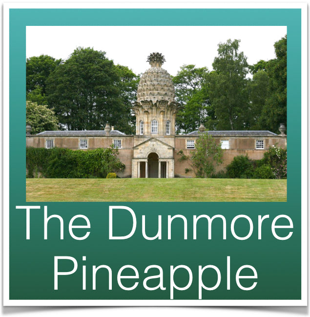 The Dunmore Pineapple