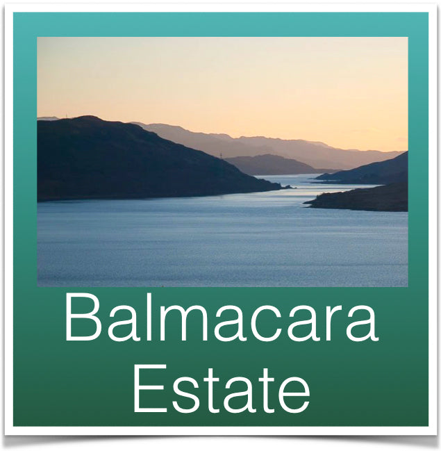 Balmacara Estate