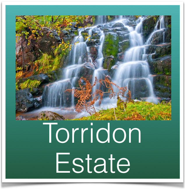 Torridon Estate