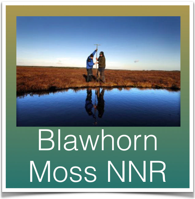 Blawhorn