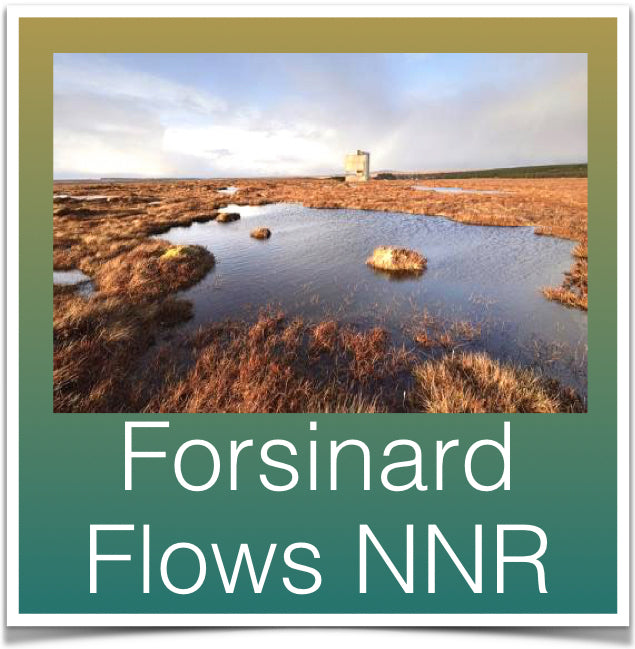 Forsinard Flows