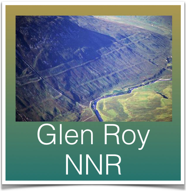 Glen Roy