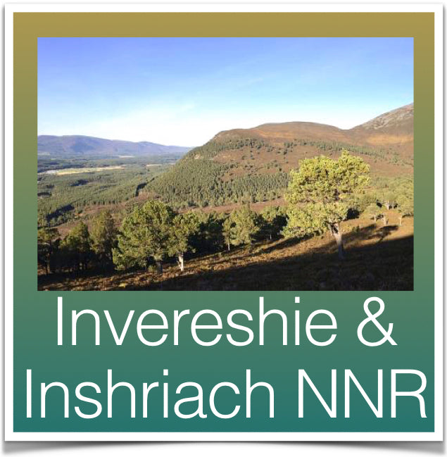 Invereshie