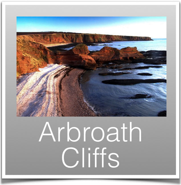 Arbroath Cliffs