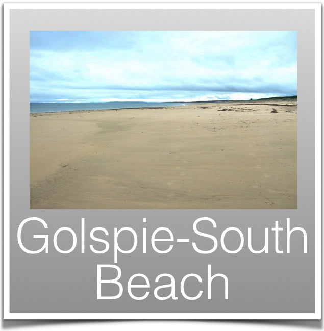 Golspie-South Beach