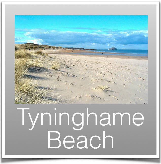 Tyninghame Beach