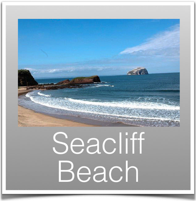 Seacliff Beach